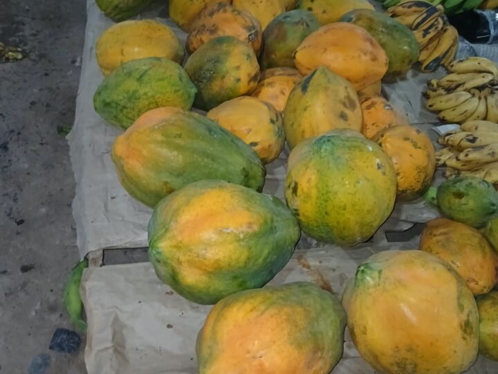 Papayas acomodadas en la mesa del puesto, junto a los racimos de plátano