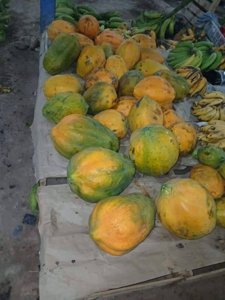 Papayas acomodadas en la mesa del puesto, junto a los racimos de plátano